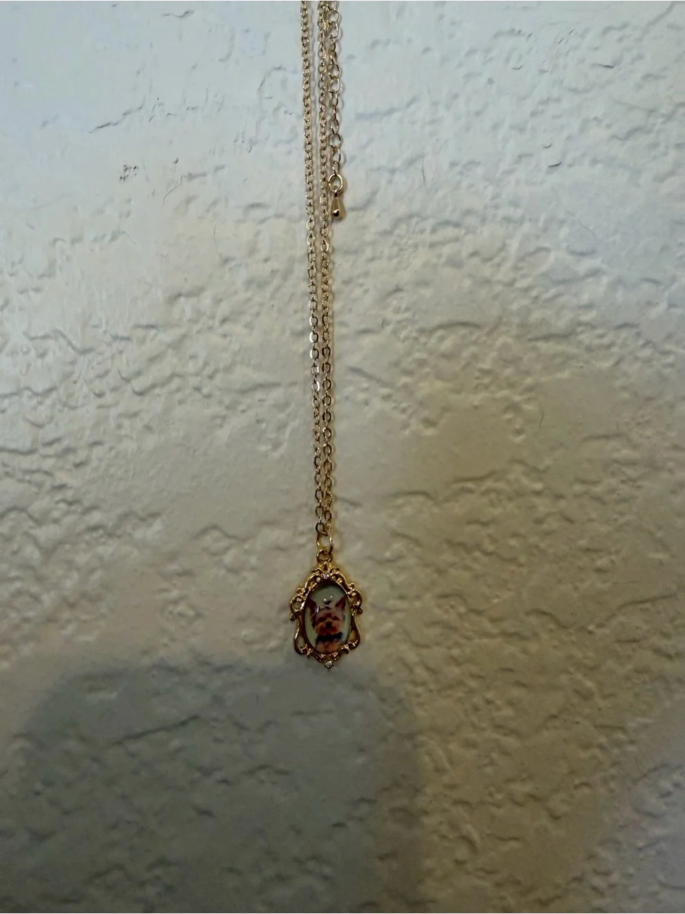 Gold Pet Photo Pendant Necklace - Cat